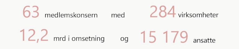 grafikk sikkerhetsbransjen